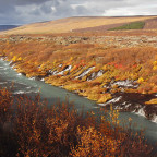 E79B99D4-B9EC-4893-836D-9BAD17C721BE